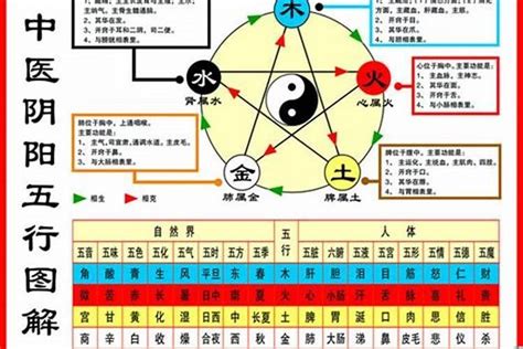 甲子鼠 五行|属鼠五行属什么命 属鼠人的五行缺什么